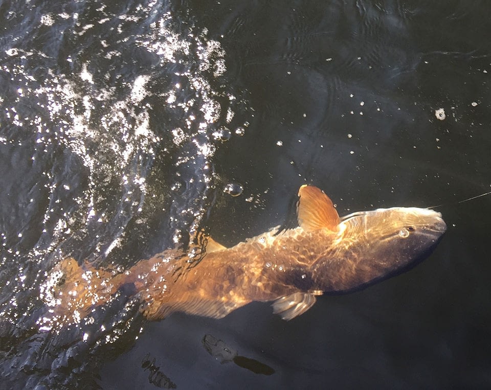One fishing adventure in Freeport