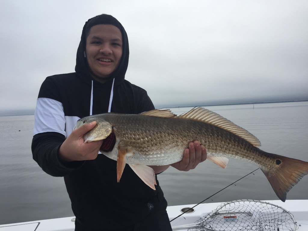 Redfish, 26 inches, caught in FL