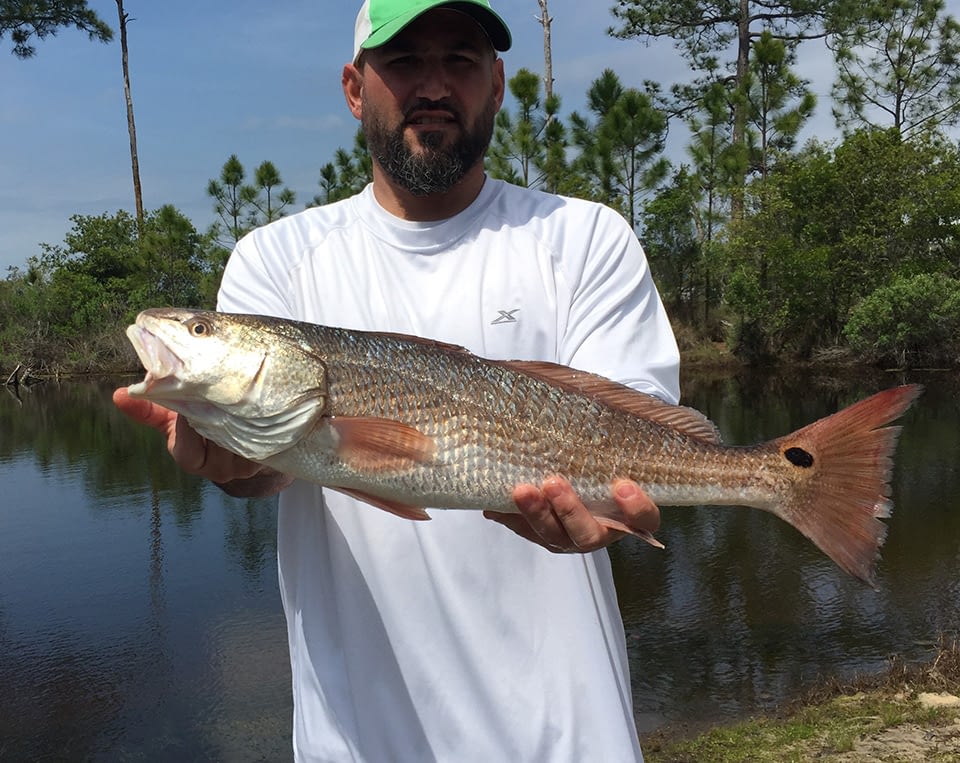 Redfish caught in Freeport