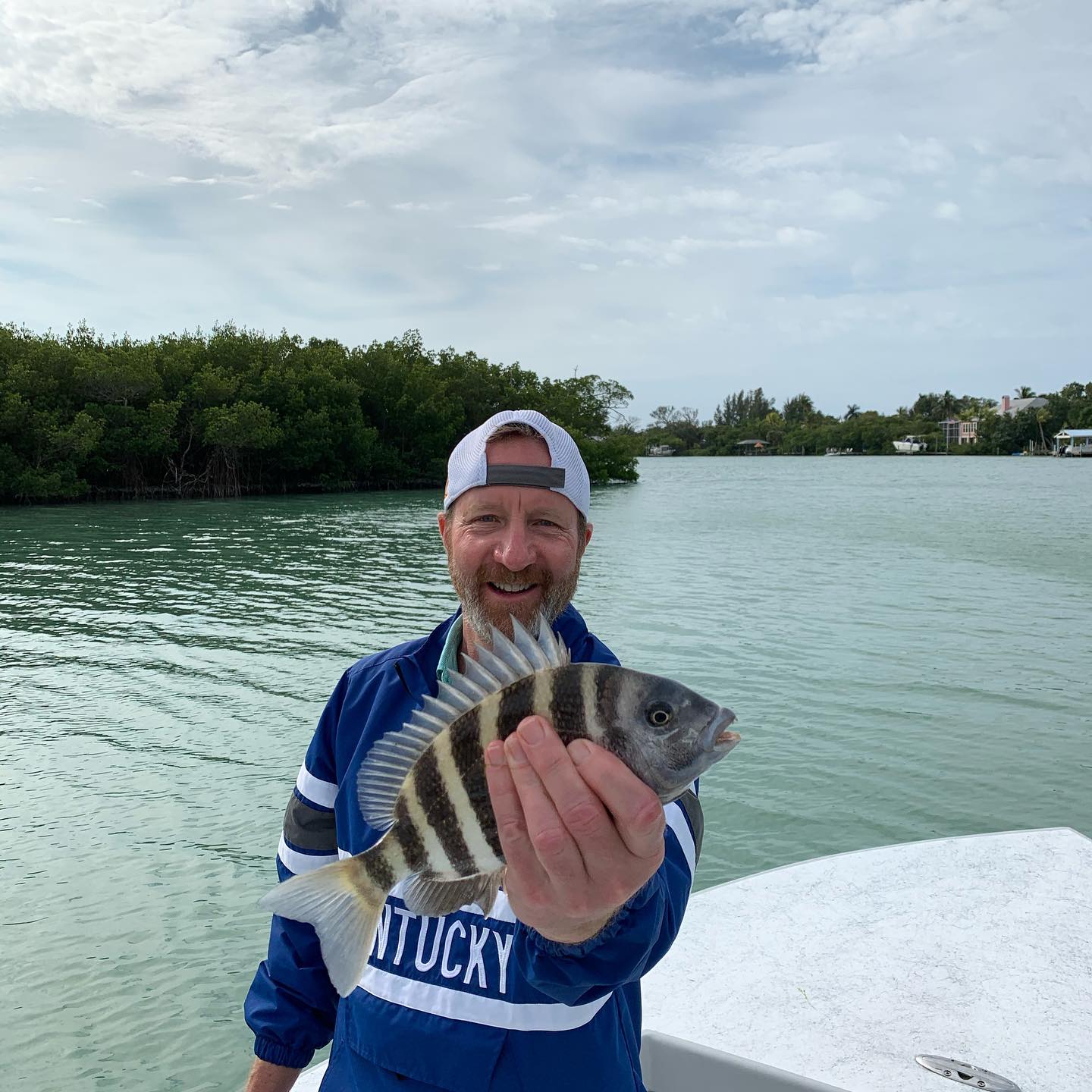 Sheepshead fish caught in FL