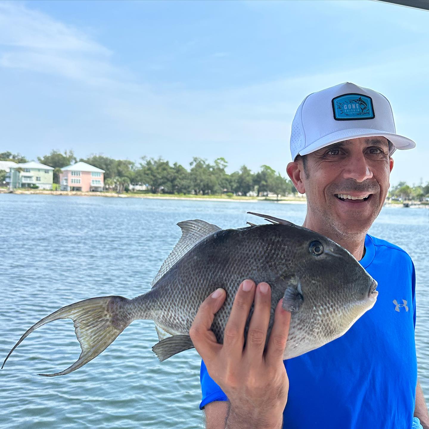 Grey triggerfish caught fishing in FL