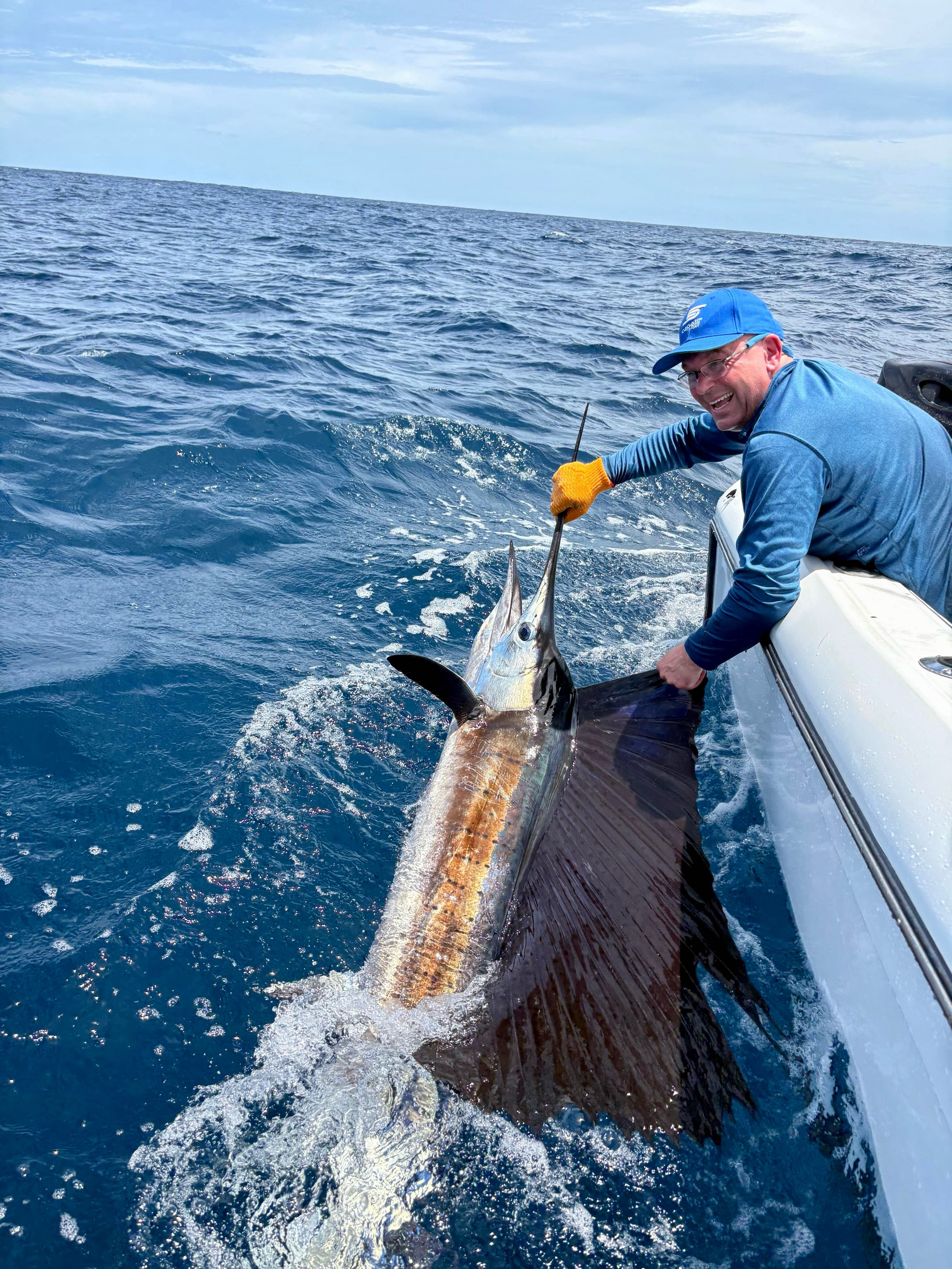 A single Atlantic Sailfish in the waters of Guanacaste Province