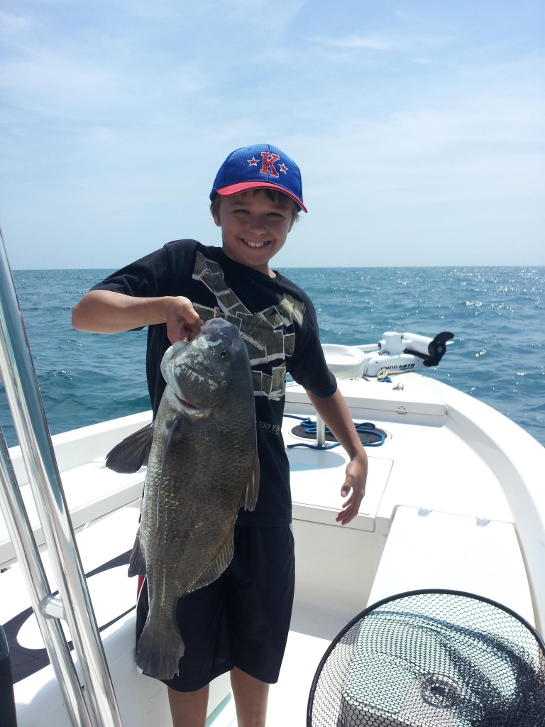 Fisherman catches a big black drum fish in FL