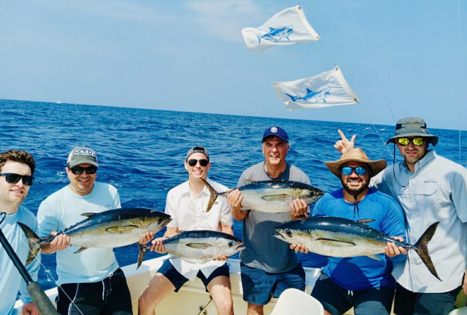 3 Yellowfin Tuna fish caught in Fort Lauderdale