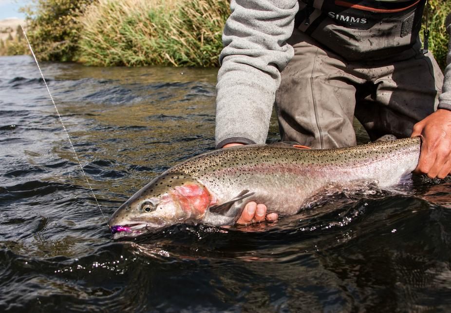 A fishing trip in Bend
