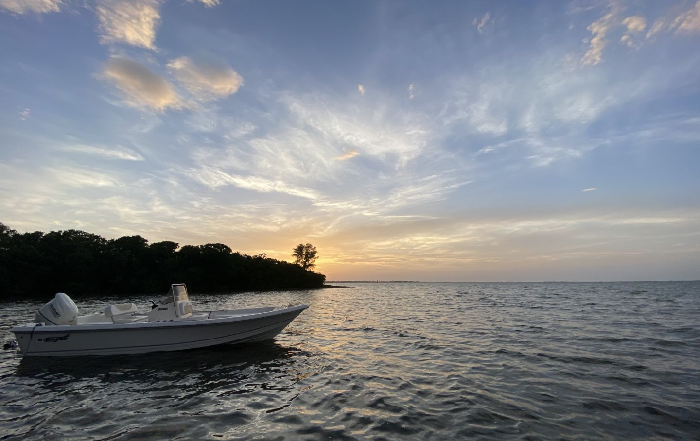 Beautiful fishing scene in Tarpon Springs