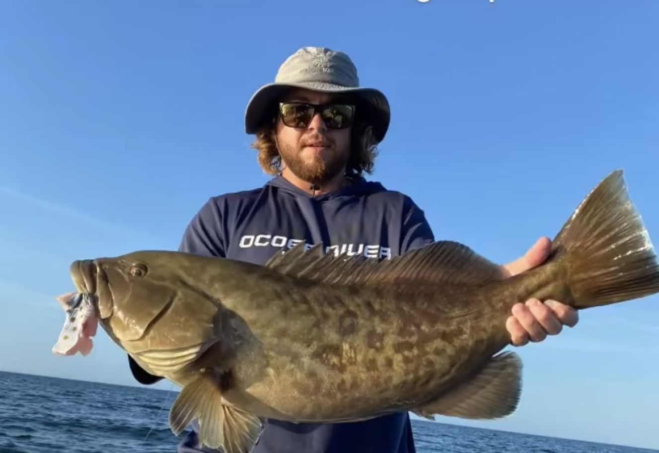 Gag grouper caught while fishing in FL