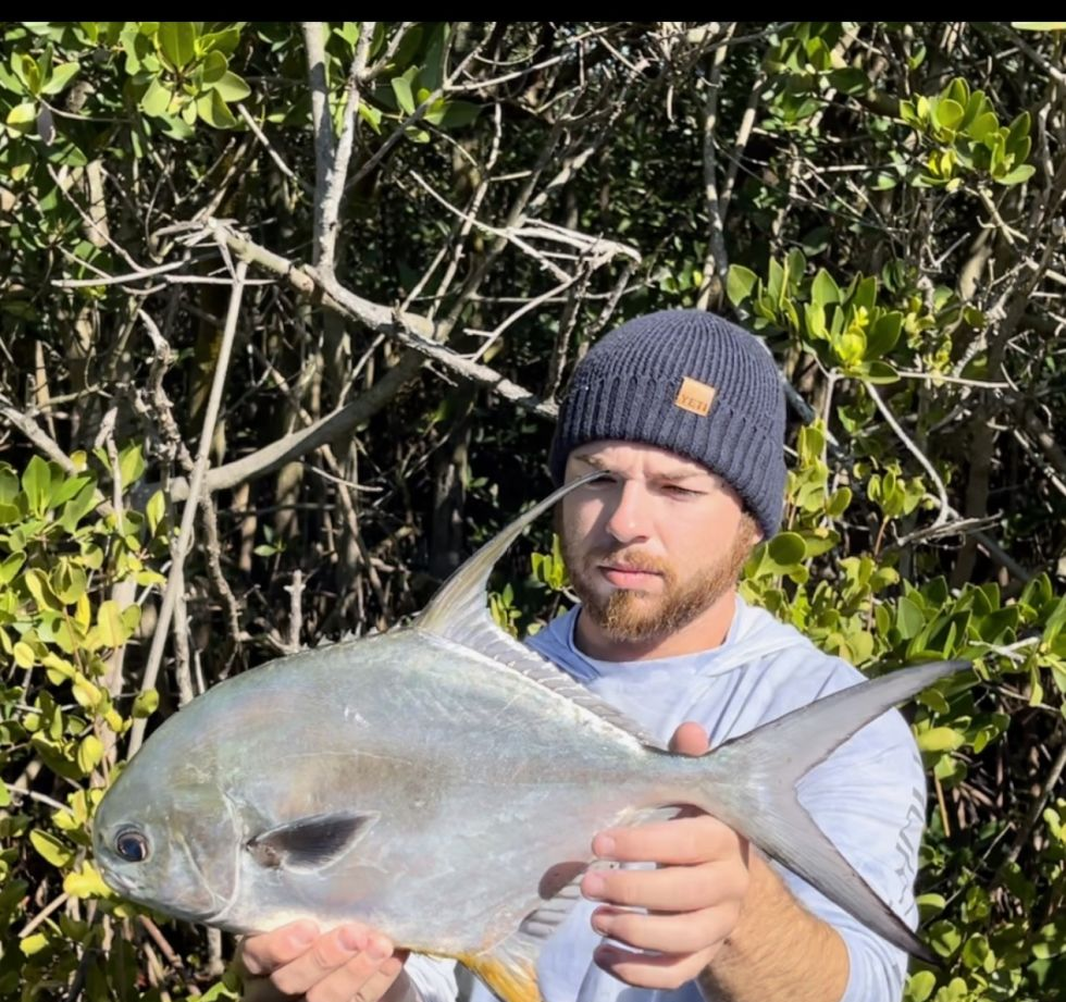 Permit fish caught in Tarpon Springs