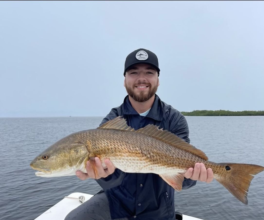 One redfish caught in Tarpon Springs while fishing