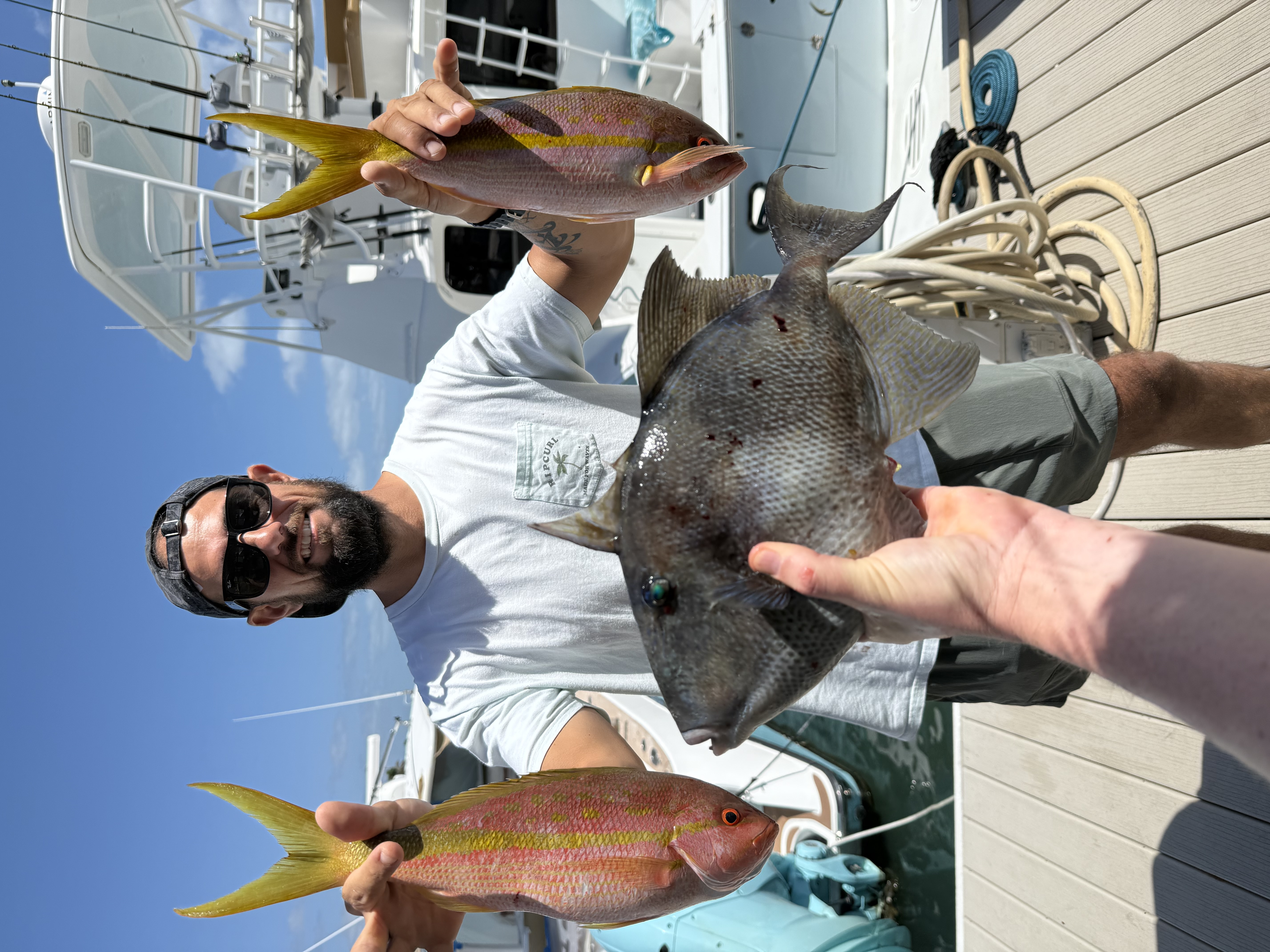 Two grey triggerfish caught while fishing in FL