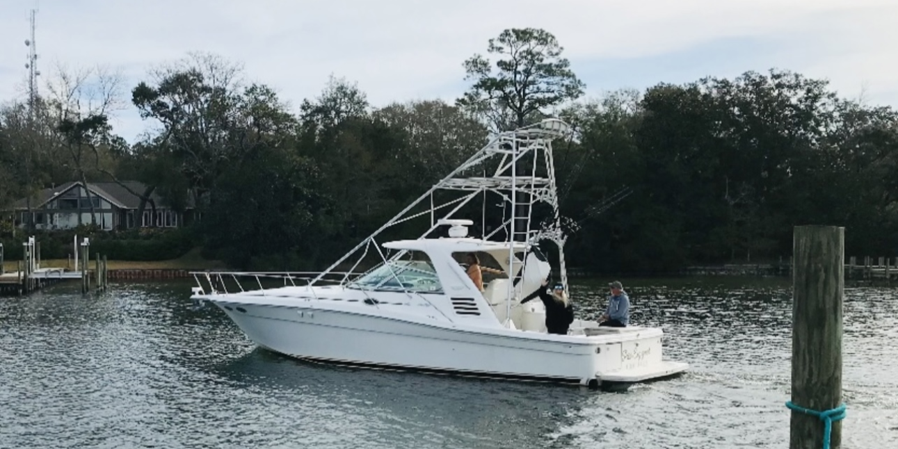 Sea Ray (Sportfishing boat)