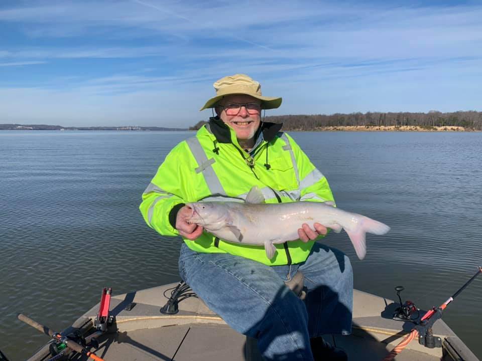 Photograph of a white catfish measuring 21 inches in Virginia