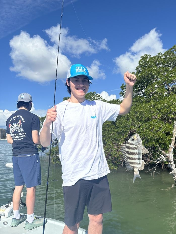 An image of a sheepshead fish caught in FL