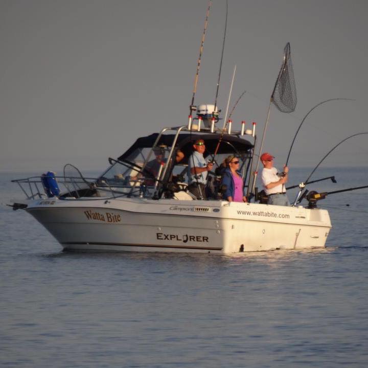 Campion Explorer