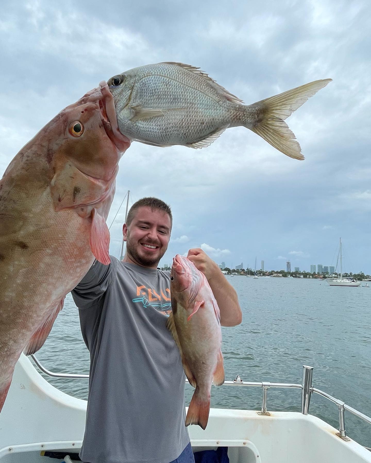 Photo of 3 silver seabream and red grouper fish in FL