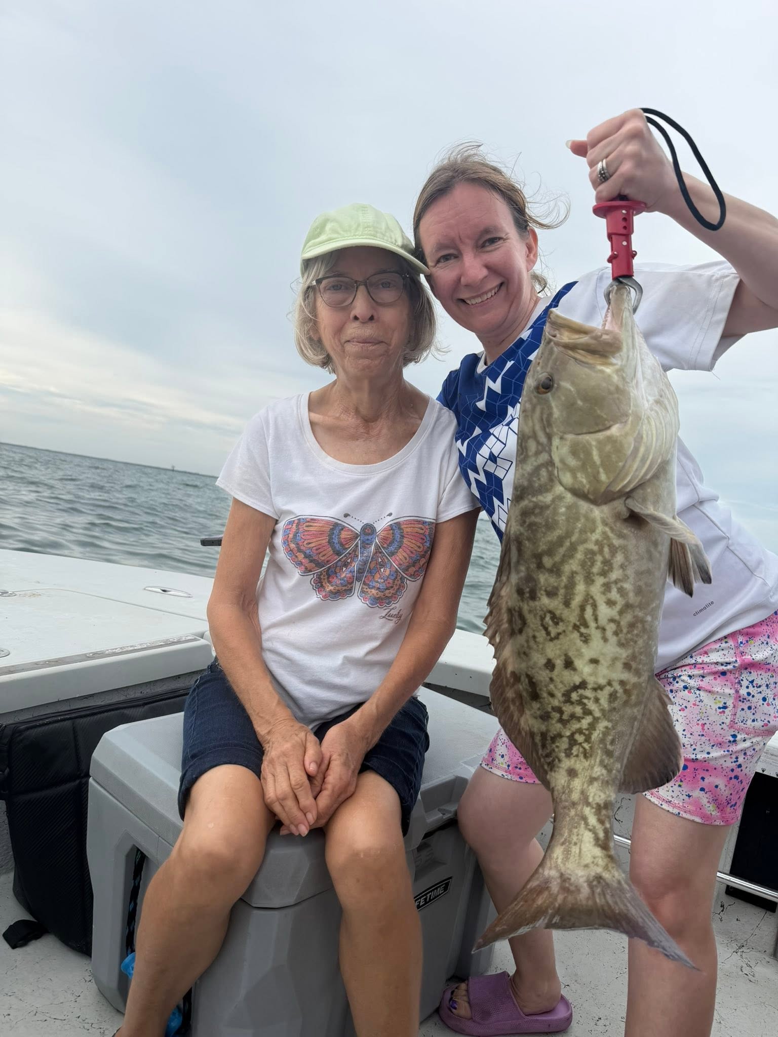 Gag grouper caught fishing in Riverview FL on boat