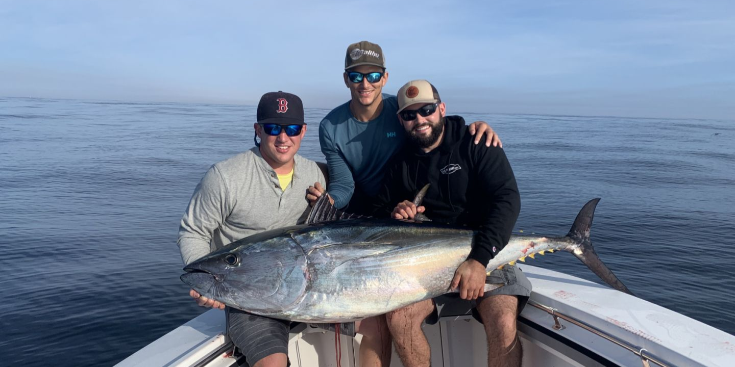 Dogtooth tuna, 31-inch big fish caught while fishing in MA