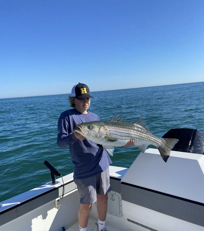 Striped bass caught in MA