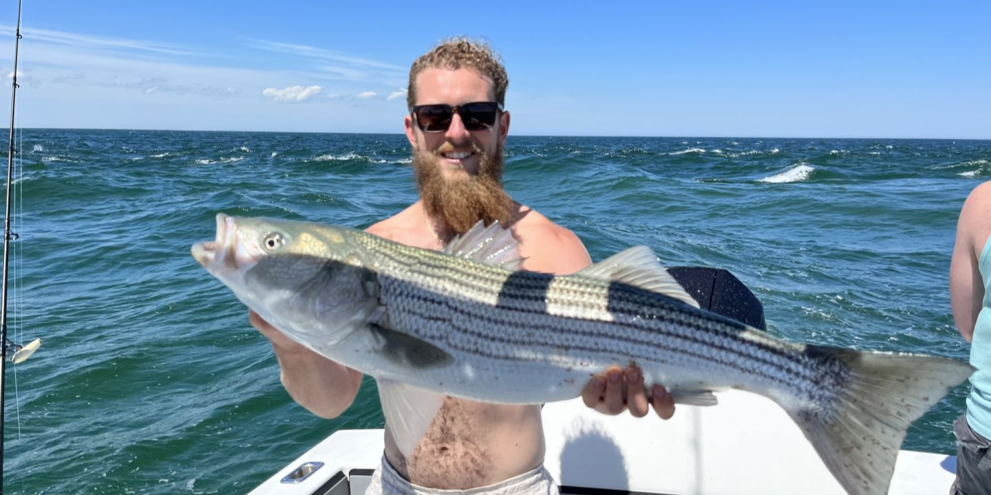 Striped bass caught on fishing trip in MA