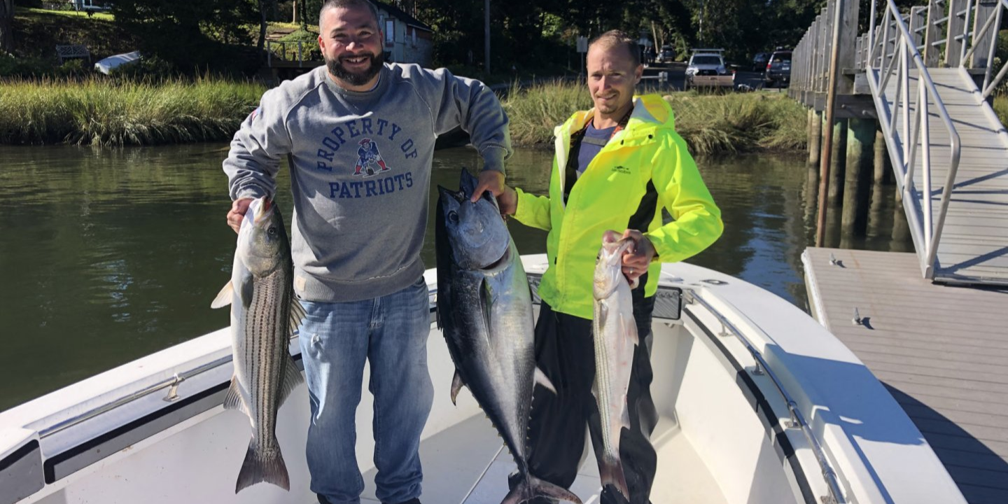 Three striped bass caught in MA