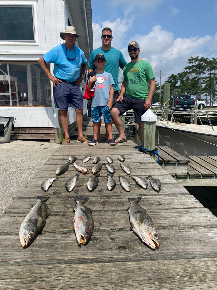 3 black drum fish caught in Wanchese