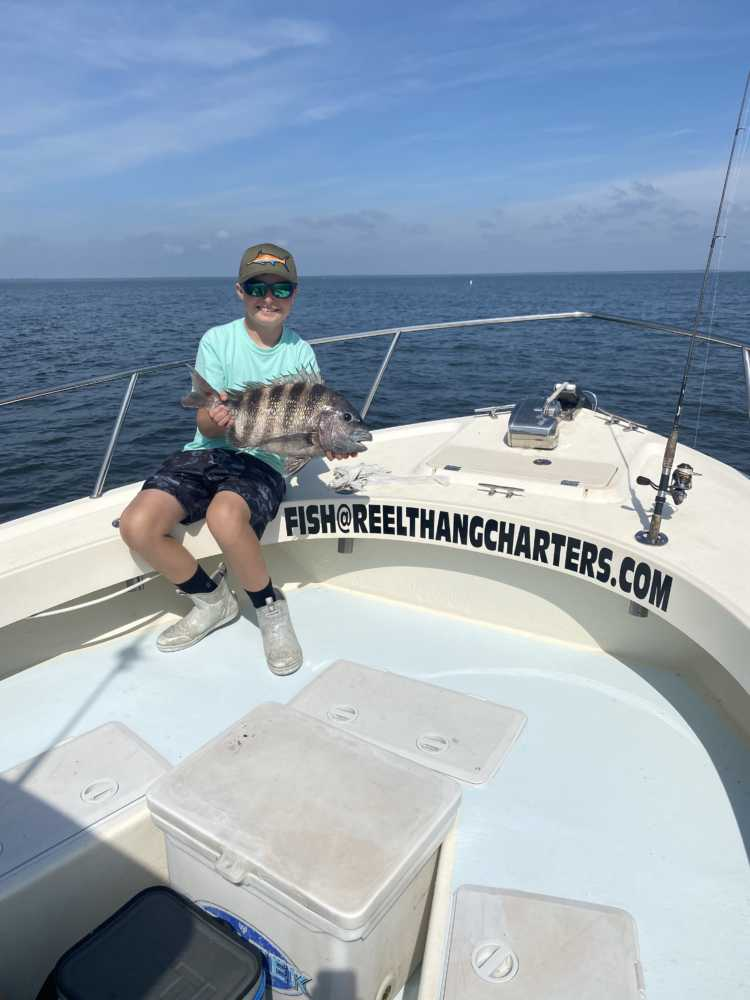 Sheepshead fish caught in Wanchese, NC