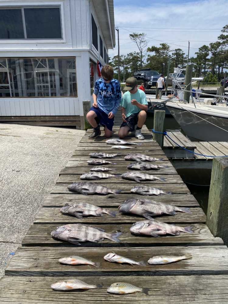 Four fish caught at Wanchese during fishing