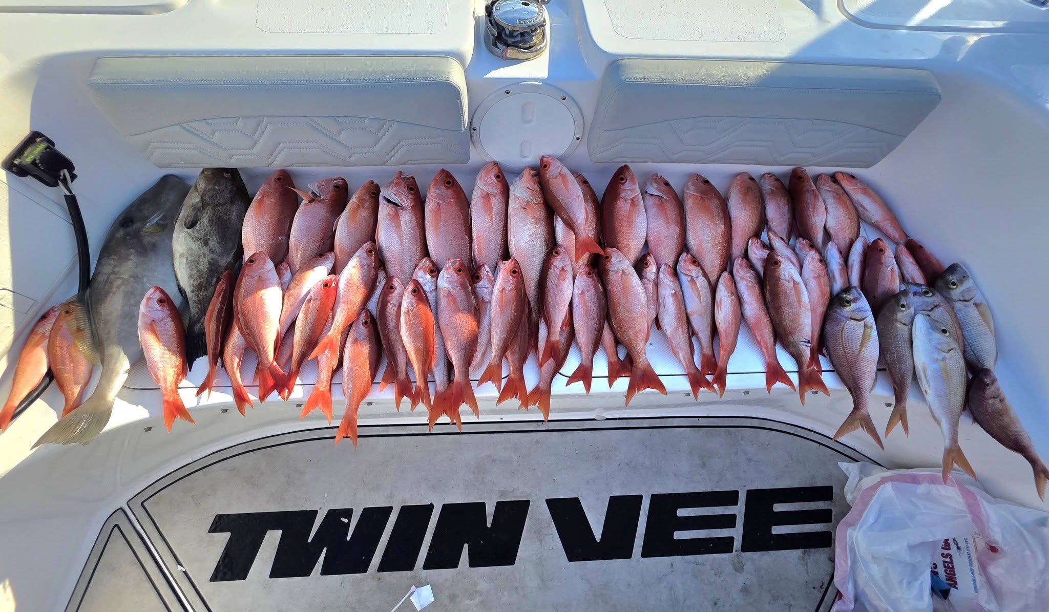 Fresh caught red snapper and other fish displayed on boat deck in Gulf Breeze FL