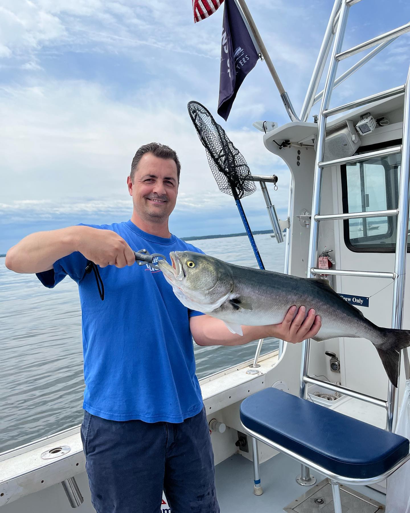 Bluefish caught by angler in NY