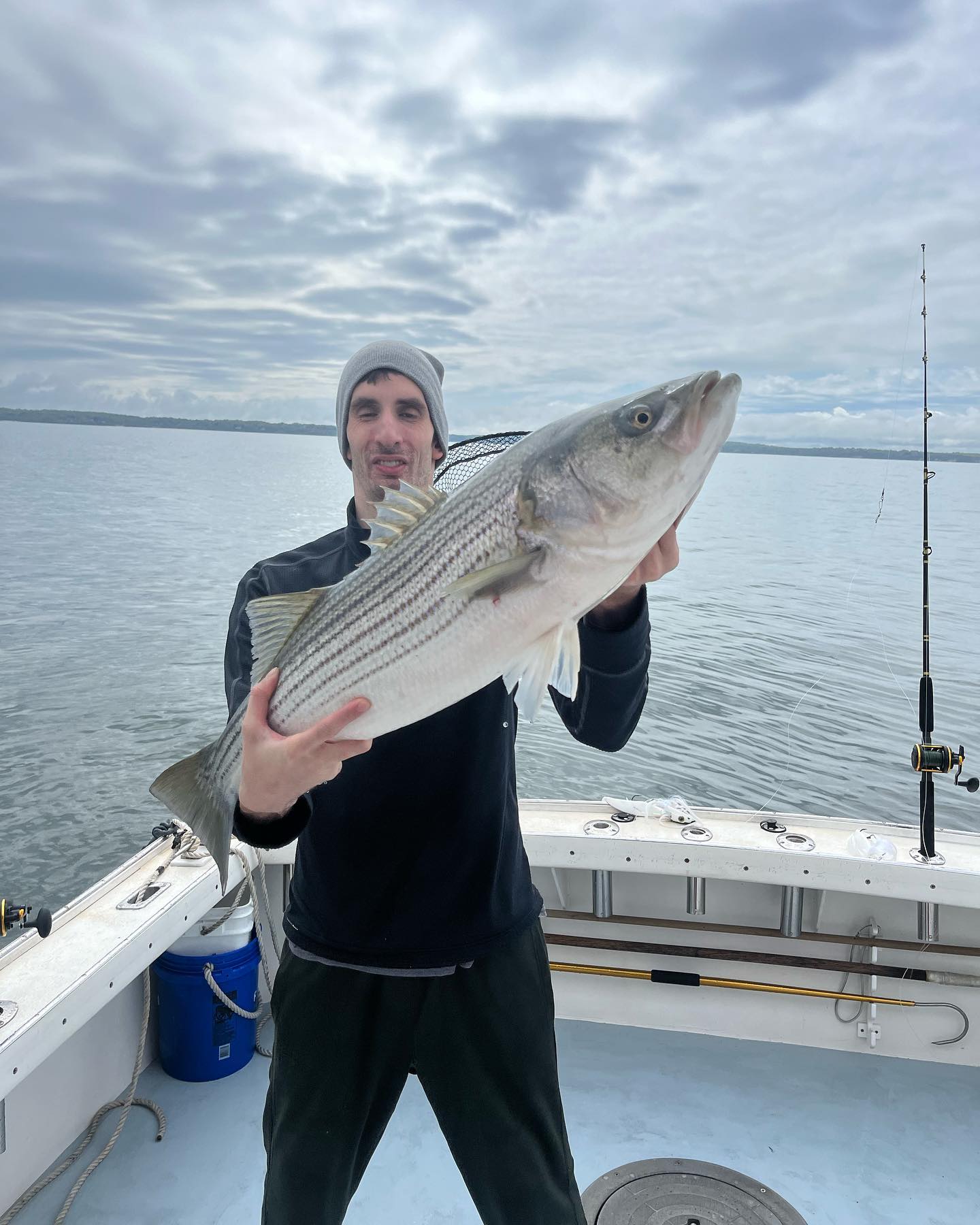 Striped bass caught in Port Chester