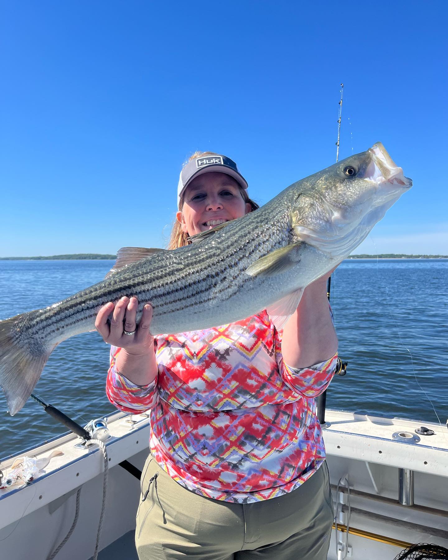 Striped bass caught while fishing in Port Chester