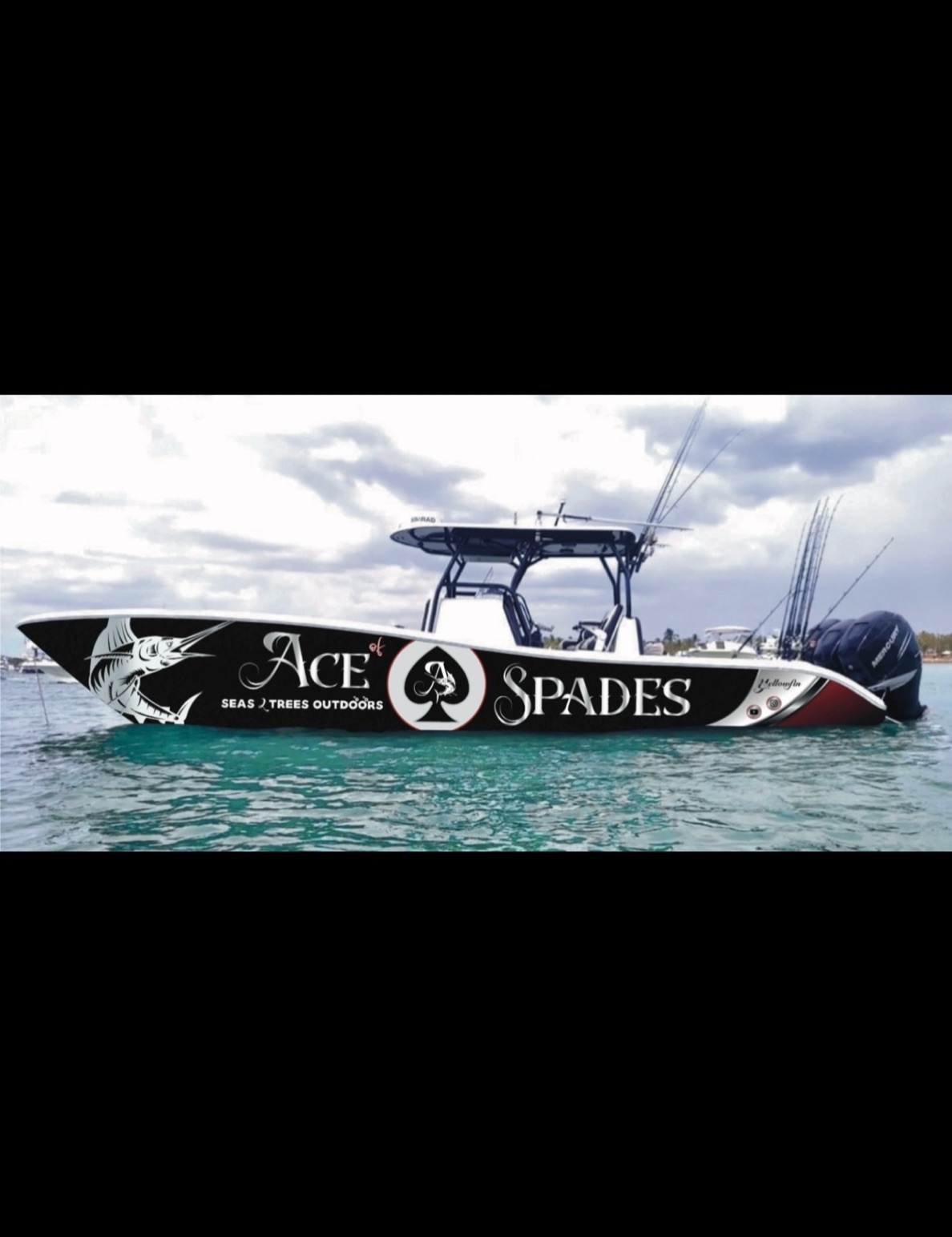 Ace Spades