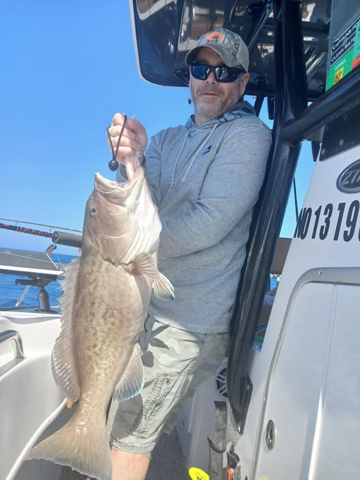 Gag grouper caught while fishing in St. Petersburg FL