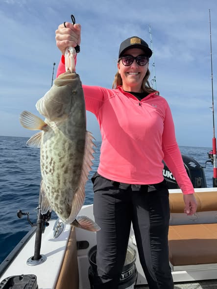 Gag grouper caught while fishing in St. Petersburg FL waters