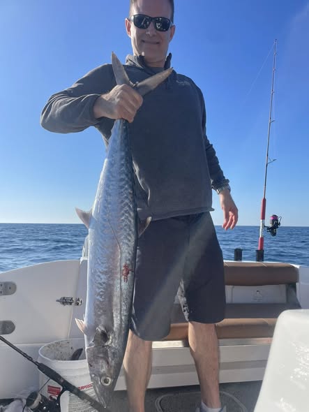 King mackerel catch displayed on fishing boat in St. Petersburg FL waters