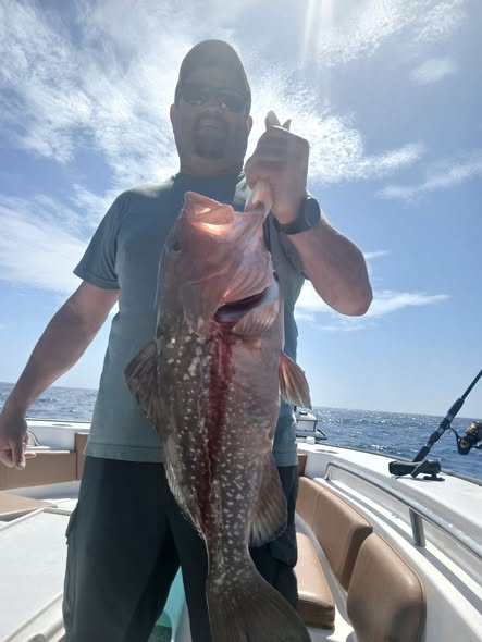 Red grouper catch displayed on fishing boat in St. Petersburg FL waters