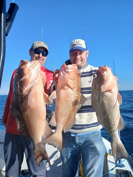 Three red grouper caught during fishing trip in St. Petersburg FL