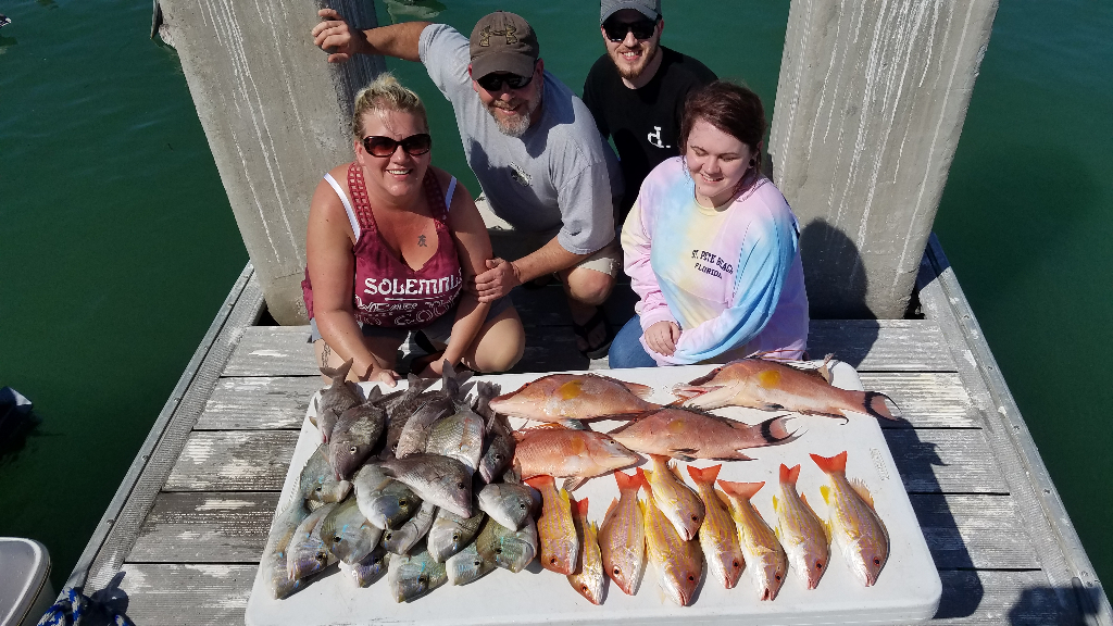 4-Hour Near Shore Fishing Trip (12- 15 miles)  (PM) - St. Petersburg, FL