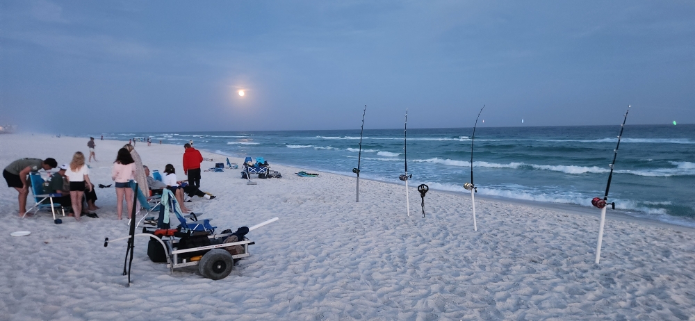 Surf fishing setup on Navarre FL beach at dusk with multiple fishing rods and beach chairs