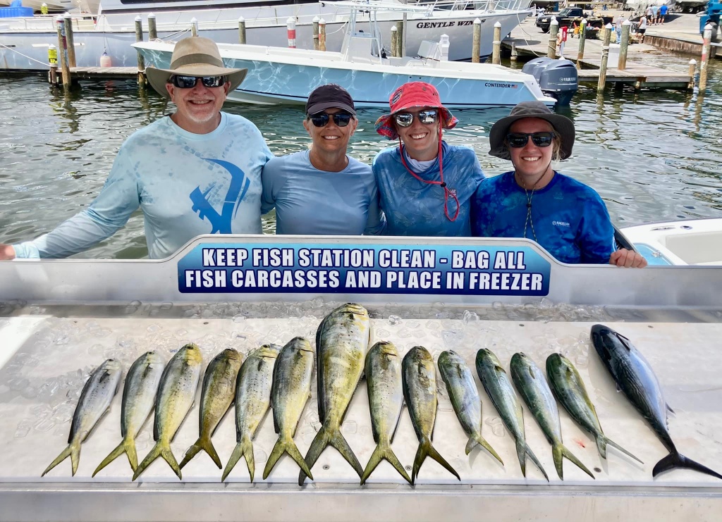 Cero mackerel, a group of 11 fish caught in FL