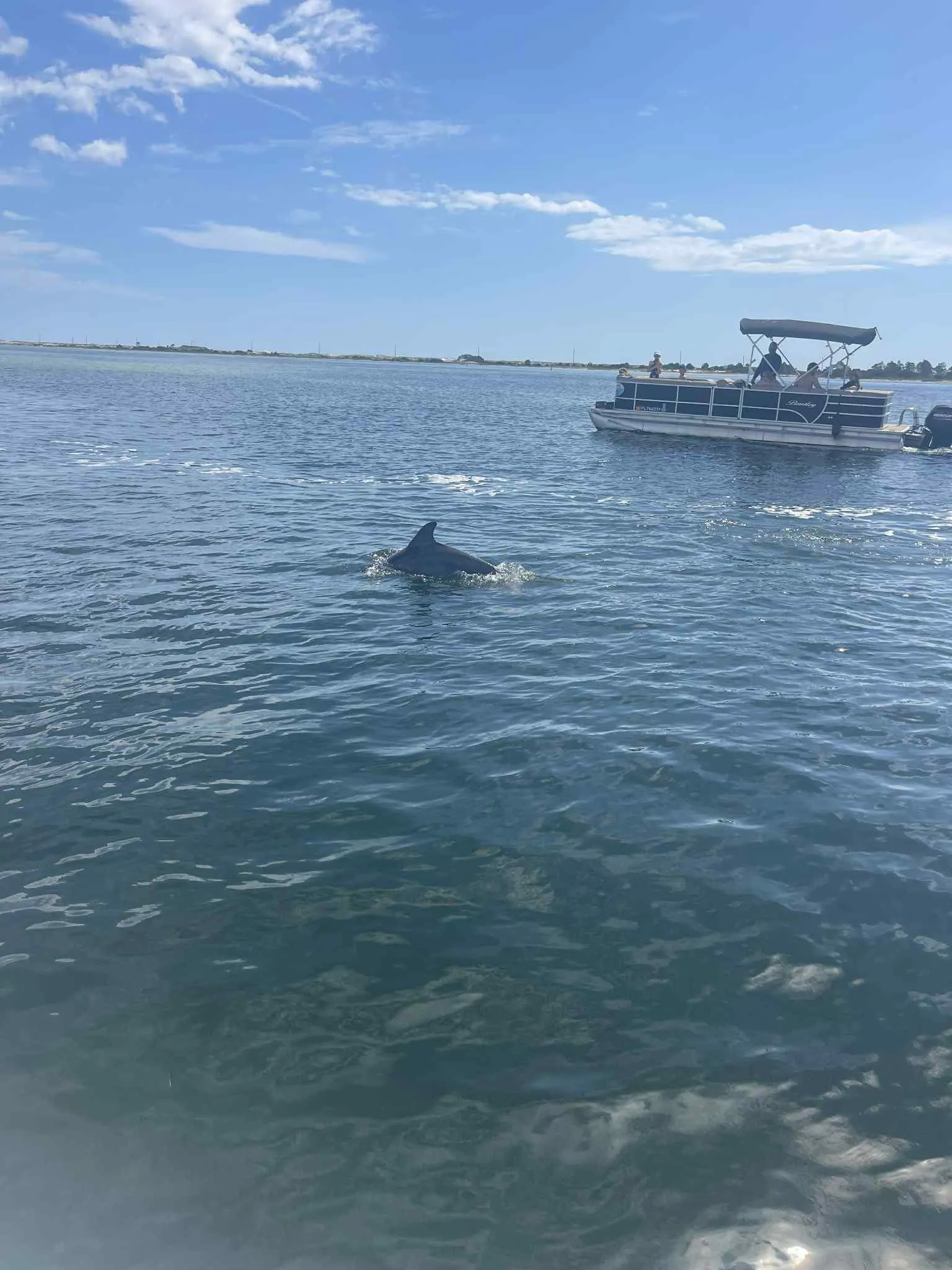 Sunset dolphin watching cruise on double-decker boat from Fort Walton Beach, Florida