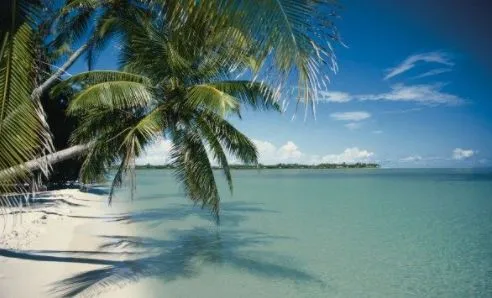 Florida Keys reef fishing and snorkeling boat trip with group catching fish in Atlantic waters