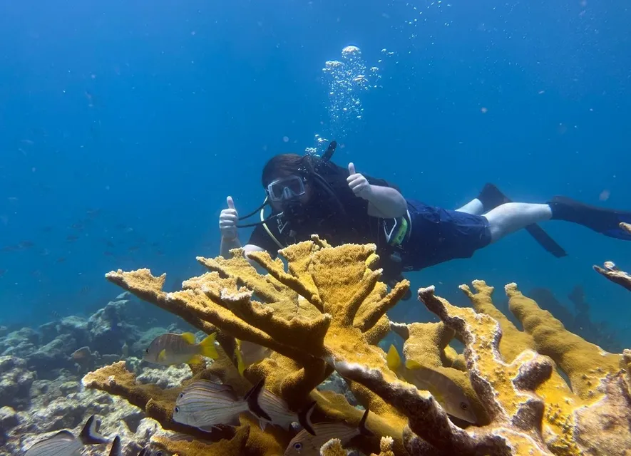 Private snorkeling group exploring vibrant coral reefs in crystal clear Florida Keys waters