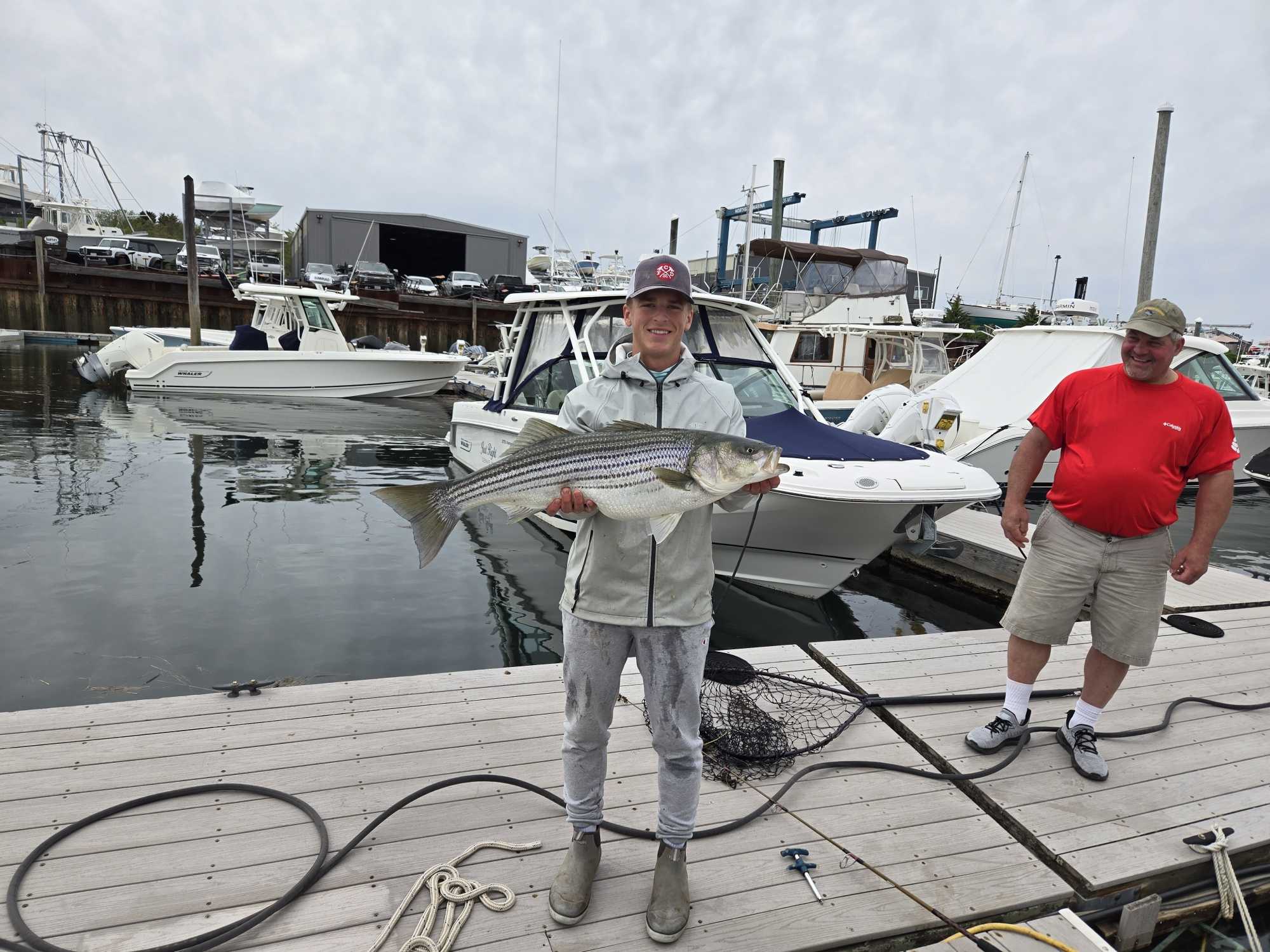 Striped bass caught fishing in Cape Cod MA at marina dock