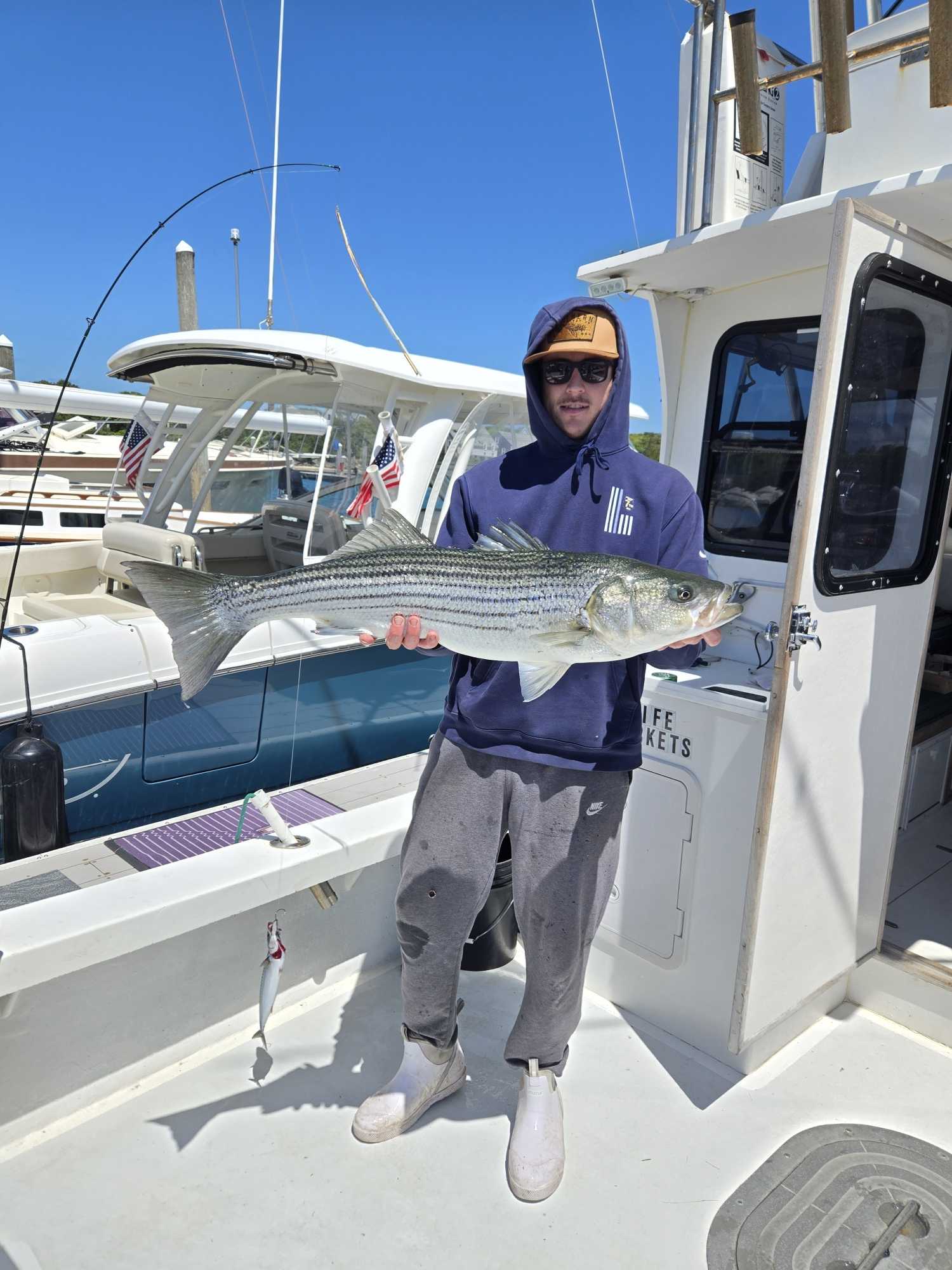 Striped bass caught while fishing on Cape Cod MA