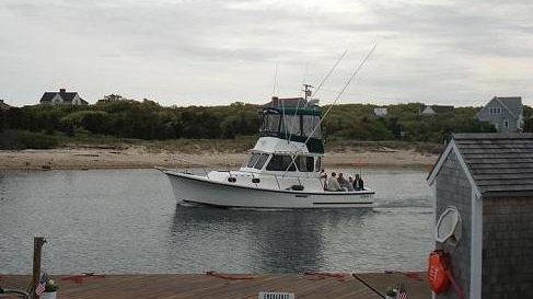 Grey Dolphin Sportfishing