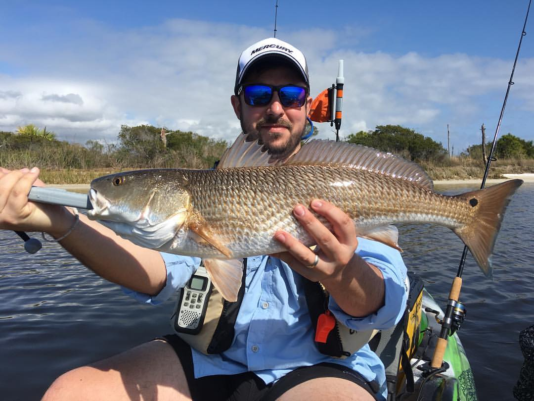 Redfish measuring 27 inches caught in Florida