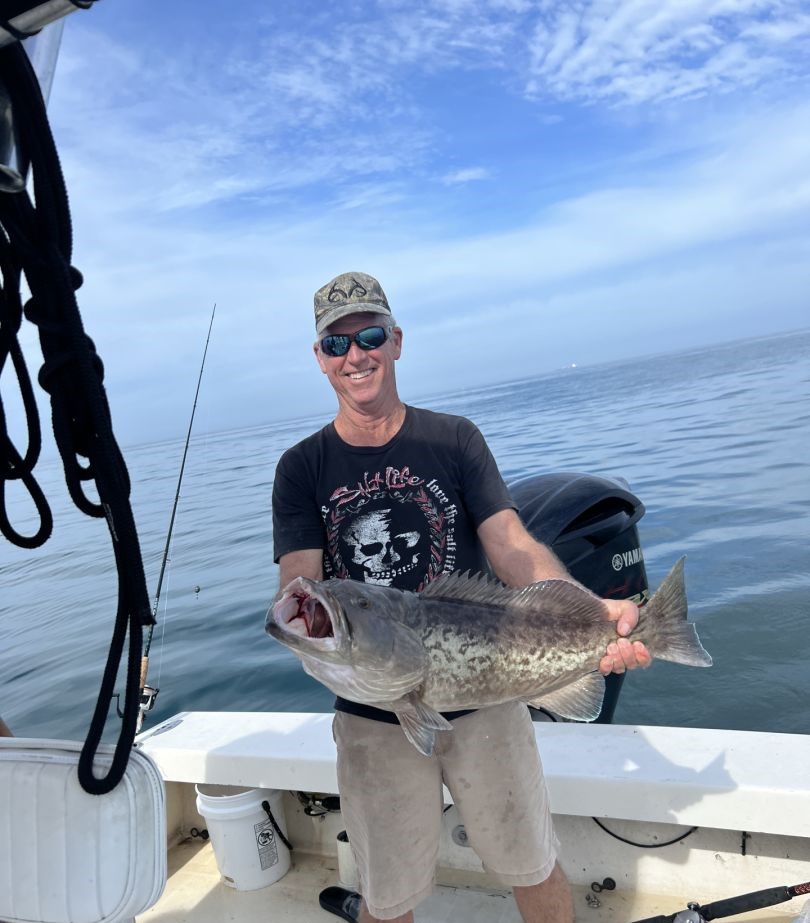 Gag grouper, a large fish caught at Anna Maria Island