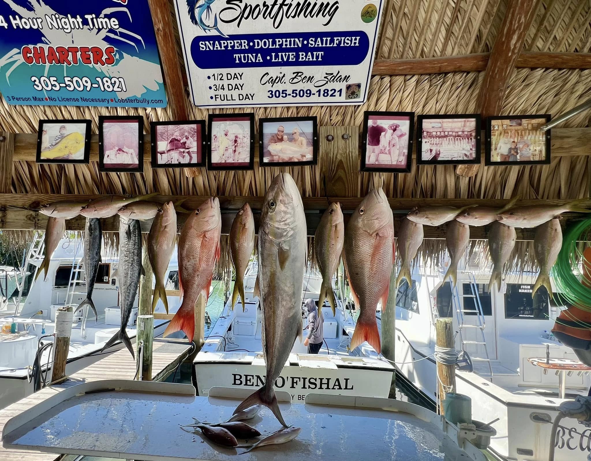 9 king mackerel caught in FL