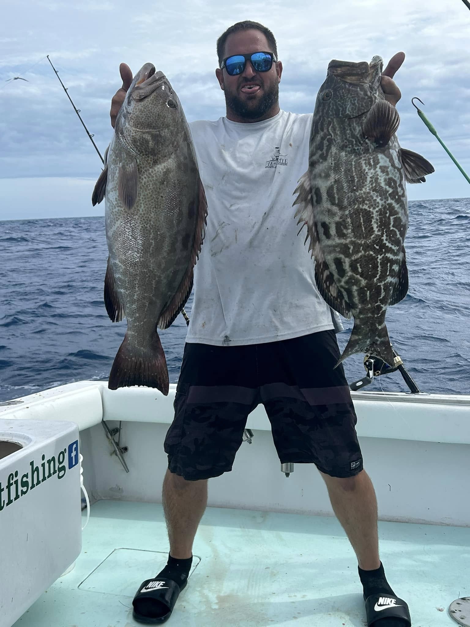 Two black grouper, 28 inches long, caught fishing in FL